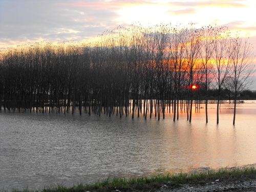 fiume_livenza.jpg